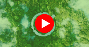 An icon of a goal fulfilled in the form of a clear pond in the middle of a lush forest. |