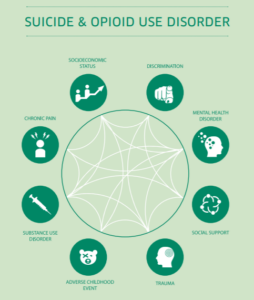 On a light green background, we read, “Suicide and Opioid Use Disorder” in dark green text.  Beneath the title is a dark green circle with white lines running through it that connect the dark green circles that surround the larger circle, like numbers on the face of a clock.  Each smaller dark green circle contains a white icon.  Starting at the top right and moving clockwise around the larger green circle, we see: -	Discrimination (icon: white hand with a finger pointing at you) -	Mental health disorder (icon: silhouette of a head with small bubbles moving in and out of the back) -	Social support (icon: interlinked chain) -	Trauma (icon: silhouette of a head with a target on the back) -	Adverse childhood event (icon: a teddy bear with an X in the place of one eye) -	Substance use disorder (icon: syringe) -	Chronic pain (icon: silhouette of a person with lightning bolts around the head) -	Socioeconomic status (icon: graph line trending upward with two silhouettes along the line, as though the graph line is a set of stairs that the silhouettes are climbing)