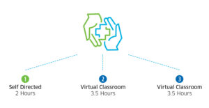 MHFA Virtual Method of Instruction