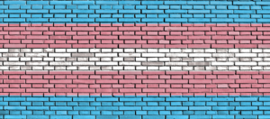 Trans flag brick wall