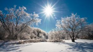 Sunny winter afternoon