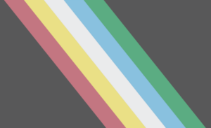 Each color of the Disability Pride Flag represents a different type of disability: physical (red), cognitive and intellectual (yellow), invisible and undiagnosed (white), psychosocial (blue), and sensory (green). The charcoal background symbolizes mourning and rage for the victims of ableist violence and abuse, and the colored bands are placed diagonally to convey persons with disabilities “cutting across” societal barriers.