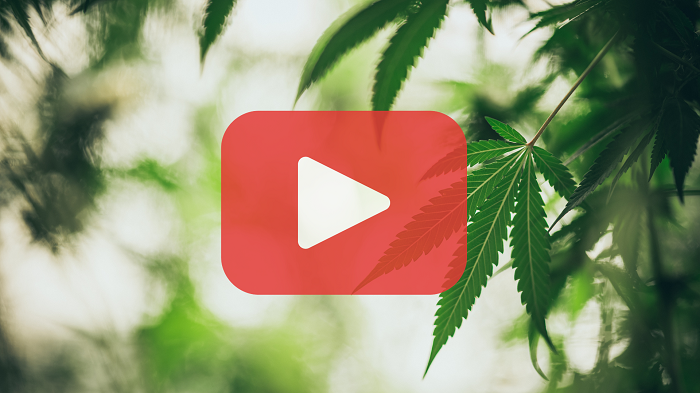 Cannabis Youtube icon
