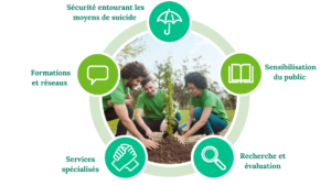 Image du 5 piliers d'Enraciner l'espoir, de haut en bas, sécurité entourant les moyens de suicide, Sensibilisation du public, Recherche et évaluation, Services spécialisés et Formations et réseaux