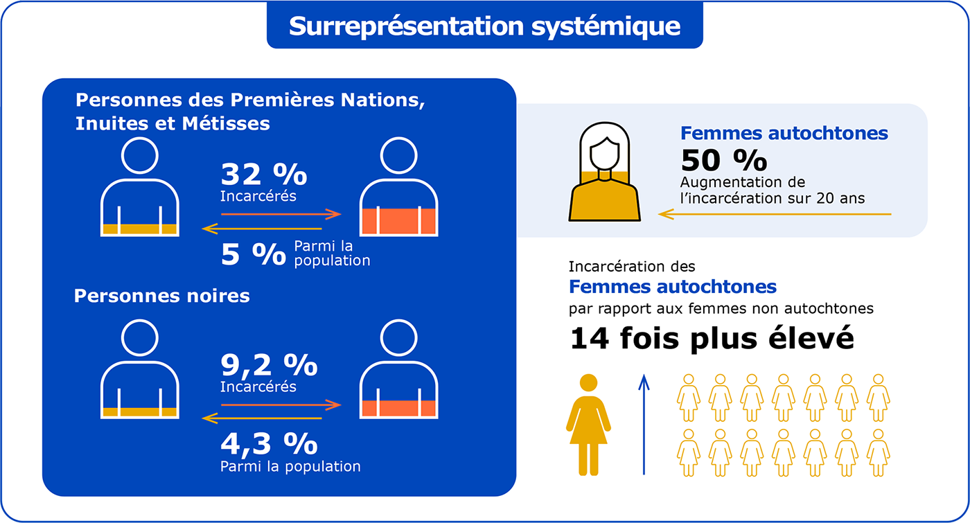 surrepresentation-systemique